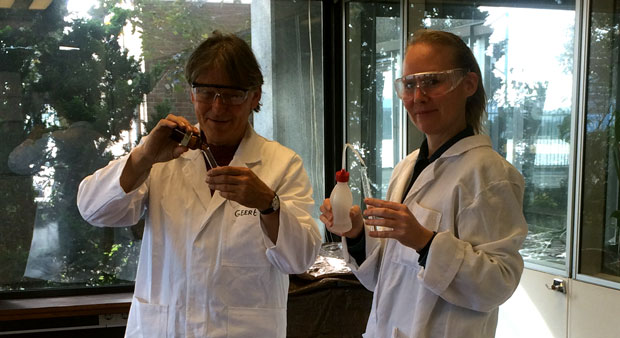 hemlab1